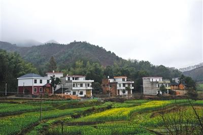 湖南现四具抗战伞兵遗骸志愿者寻亲